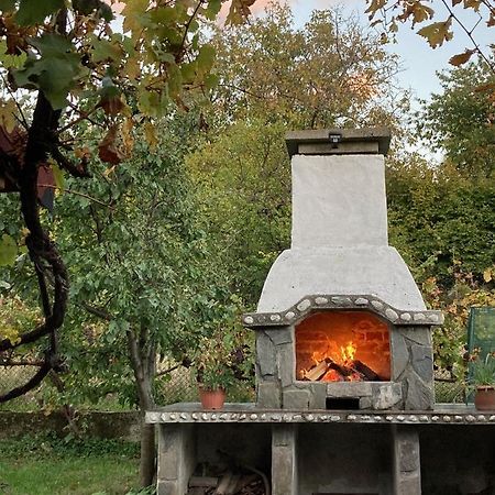 Къща За Гости Ягода 萨帕雷瓦巴尼亚 外观 照片