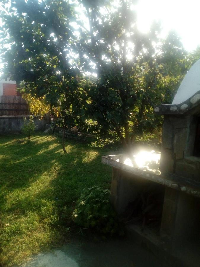 Къща За Гости Ягода 萨帕雷瓦巴尼亚 外观 照片