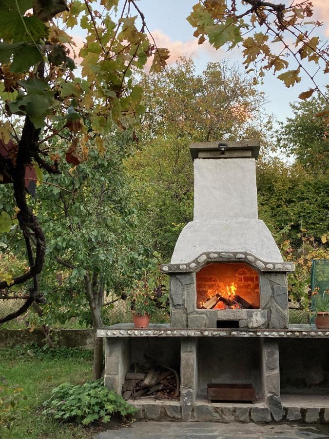 Къща За Гости Ягода 萨帕雷瓦巴尼亚 外观 照片